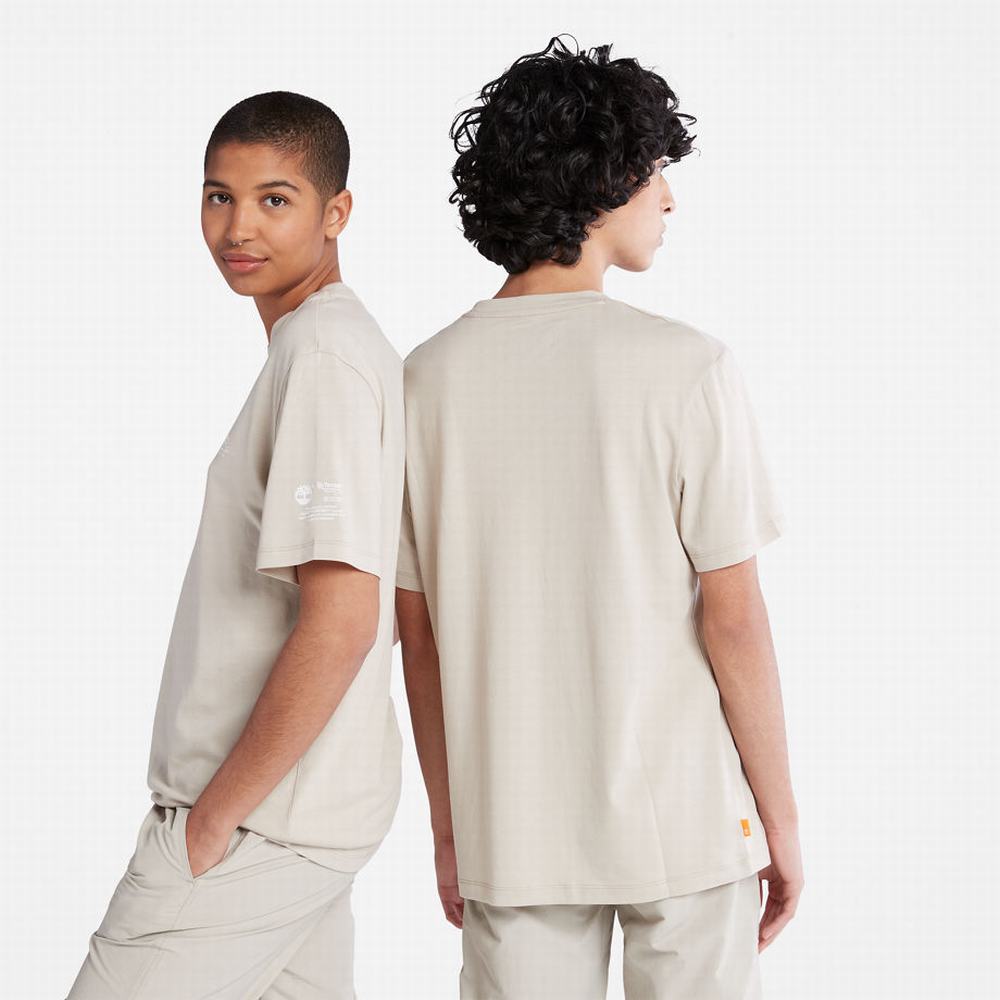 Timberland Luxe Konfor Essentials Tencel™ x Refibra™ Tişört Erkek Açık Gri | TR-7504T