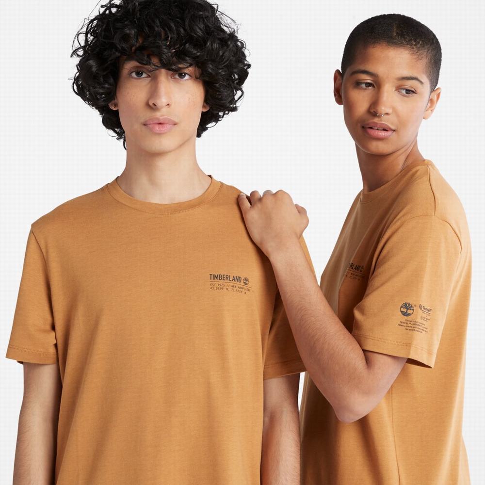 Timberland Luxe Konfor Tişört Kadın Kahverengi | TR-3614N