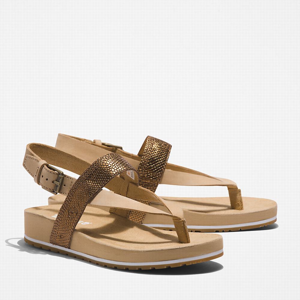 Timberland Malibu Beach Flip-Flop Sandalet Kadın Bej Rengi | TR-6178U