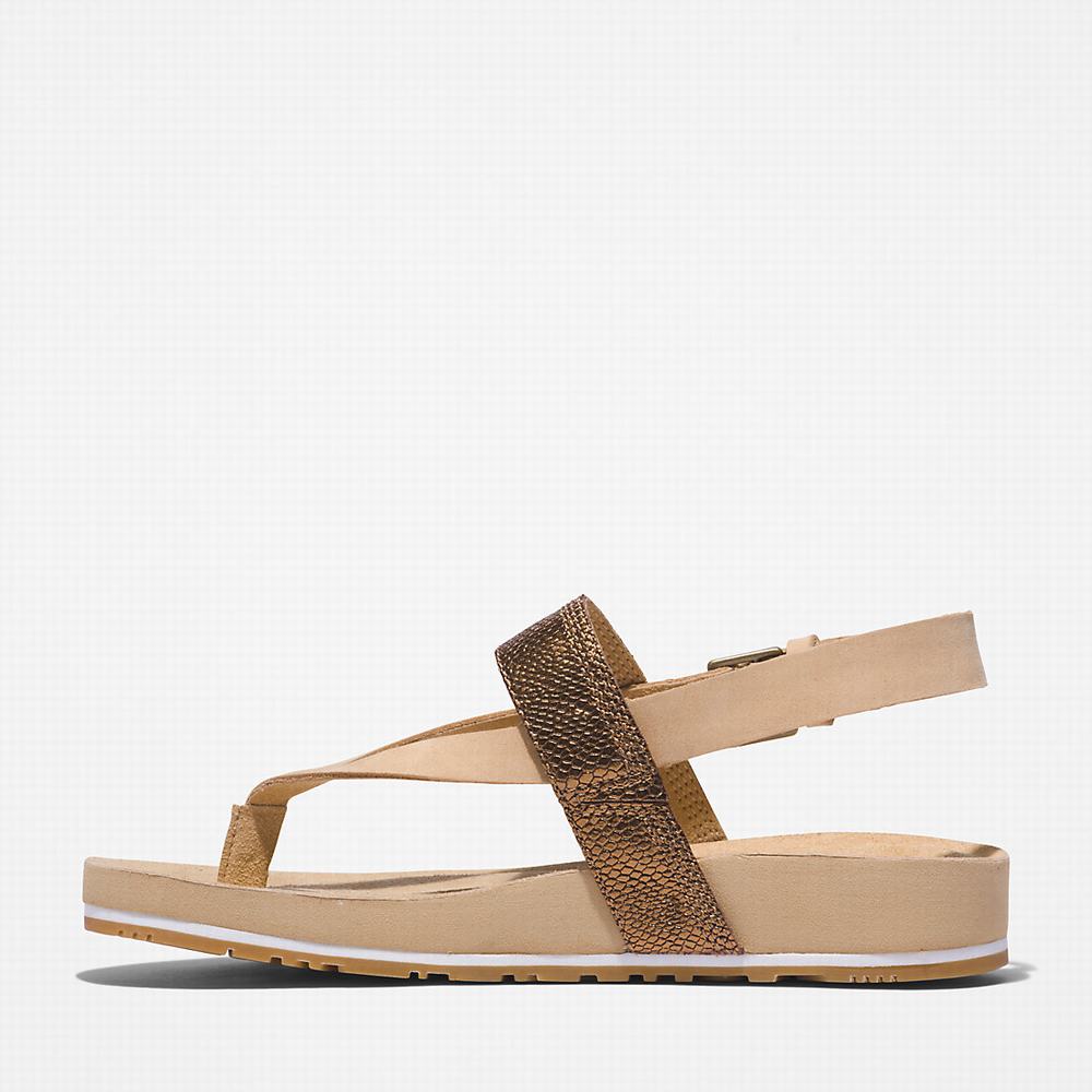 Timberland Malibu Beach Flip-Flop Sandalet Kadın Bej Rengi | TR-6178U