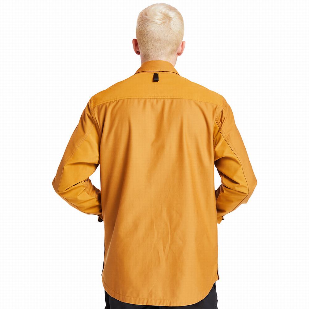 Timberland Mascoma River Overshirt Ceket Erkek Sarı | TR-2301M