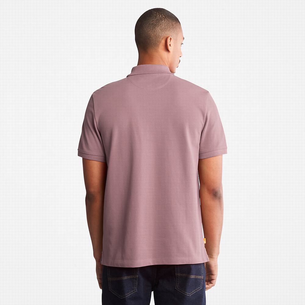 Timberland Millers River Pique Polo Gömlek Erkek Mor | TR-8425D