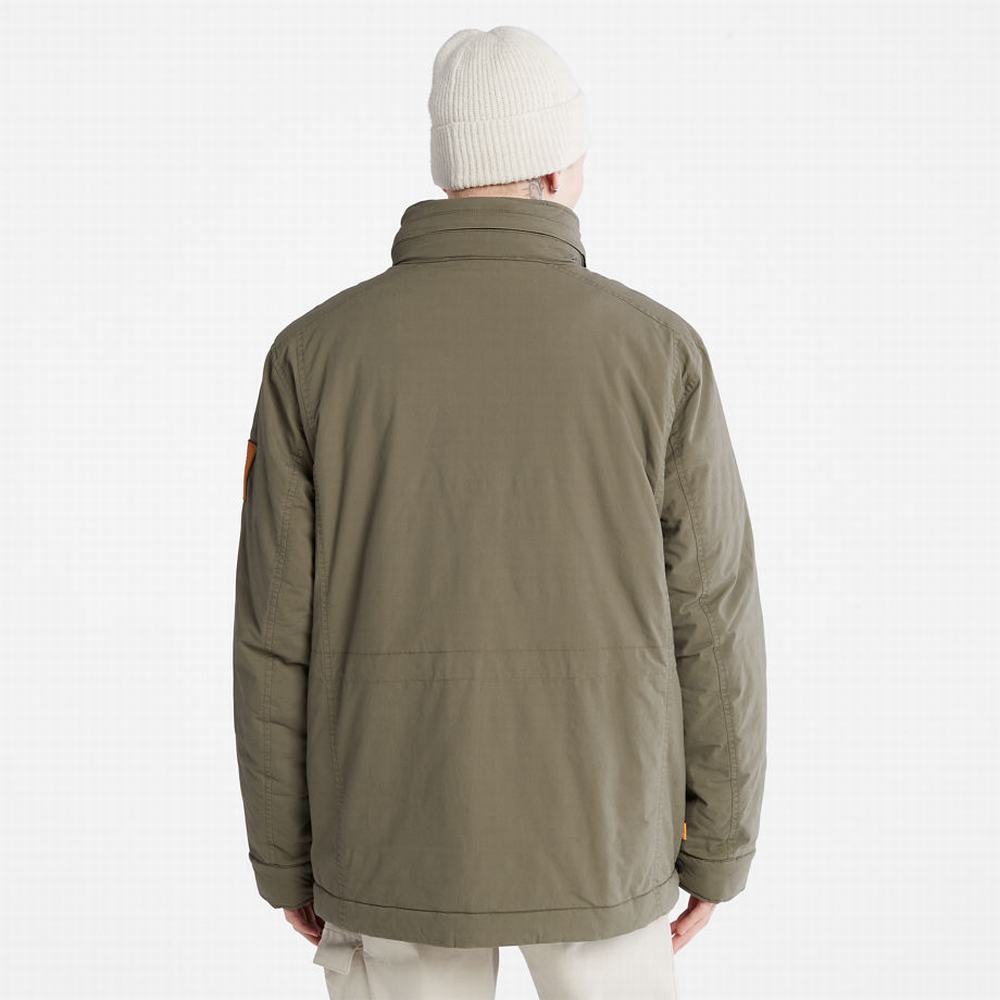 Timberland Mount Kelsey Field Ceket Erkek Yeşil | TR-2756X