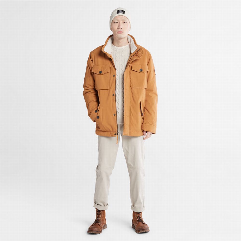 Timberland Mount Kelsey Field Ceket Erkek Açık Kahverengi | TR-9358Z