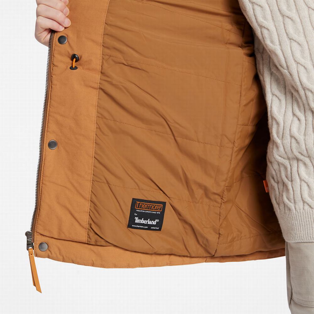 Timberland Mount Kelsey Field Ceket Erkek Açık Kahverengi | TR-9358Z