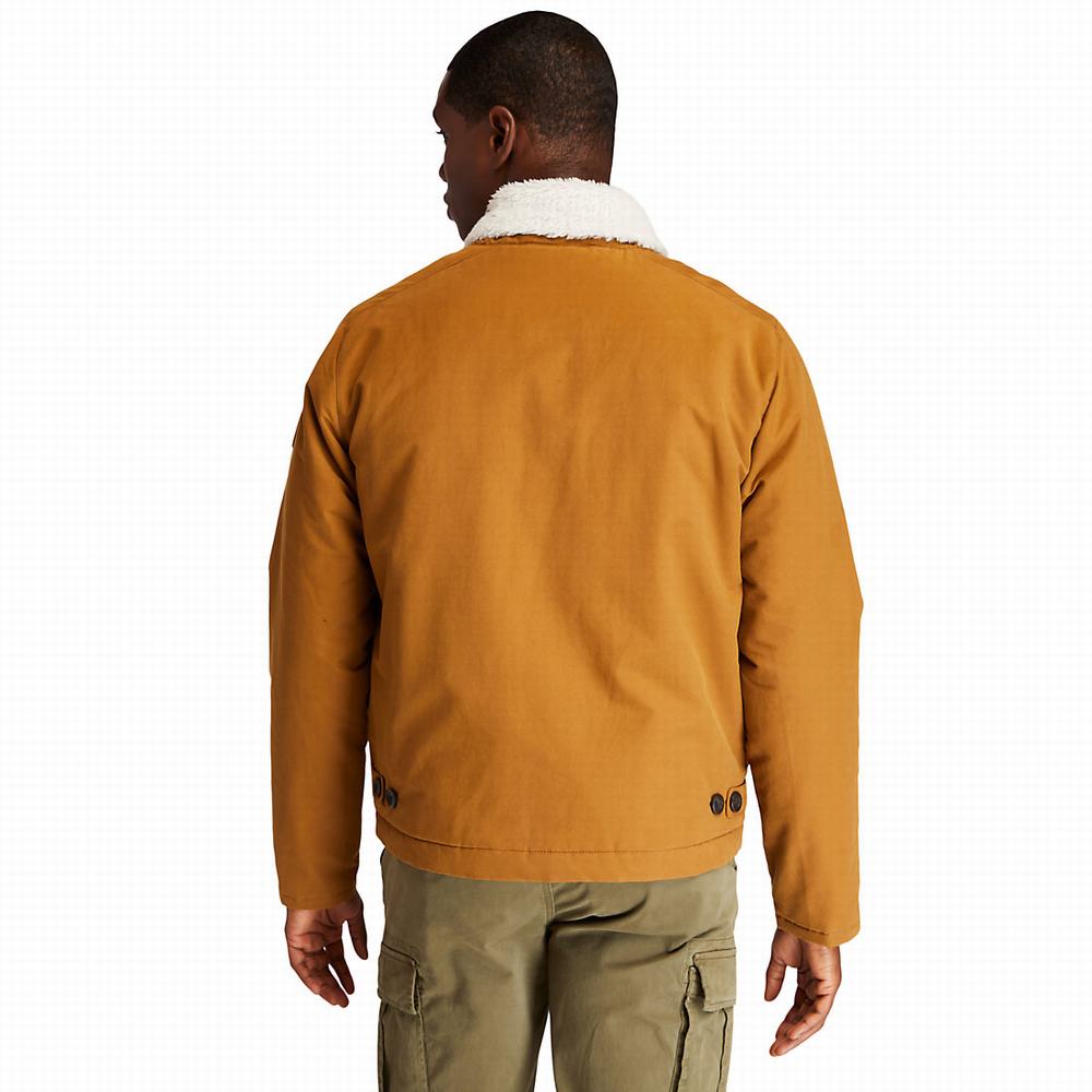 Timberland Mount Kelsey N1 Deck Ceket Erkek Kahverengi | TR-2170H
