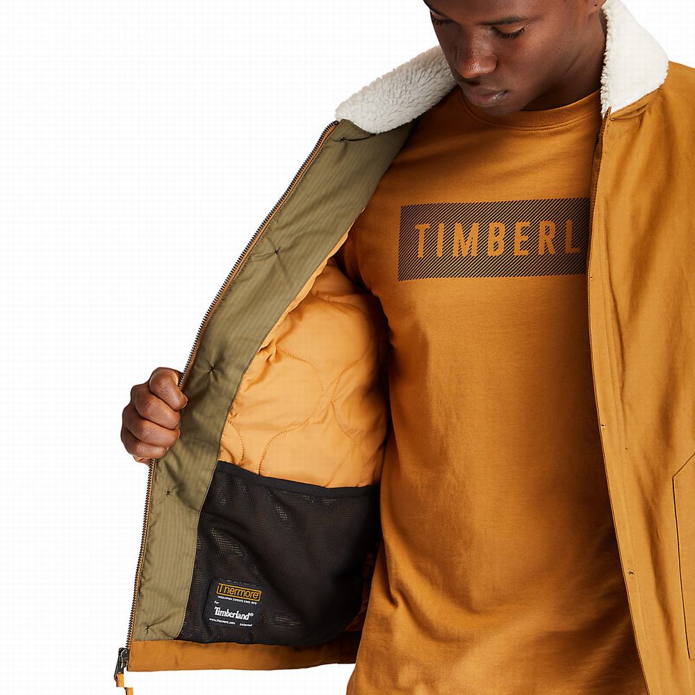Timberland Mount Kelsey N1 Deck Ceket Erkek Kahverengi | TR-2170H