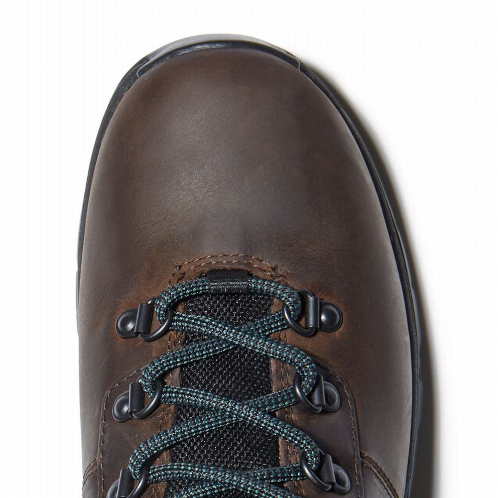 Timberland Mount Maddsen Hiker Yürüyüş Botu Kadın Koyu Kahverengi | TR-9451L