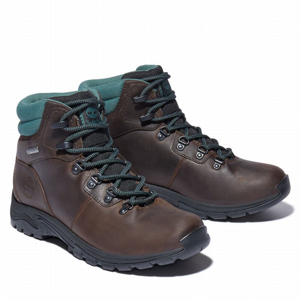 Timberland Mount Maddsen Hiker Yürüyüş Botu Kadın Koyu Kahverengi | TR-9451L