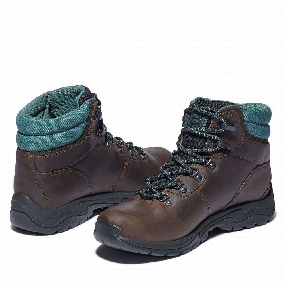 Timberland Mount Maddsen Hiker Yürüyüş Botu Kadın Koyu Kahverengi | TR-9451L