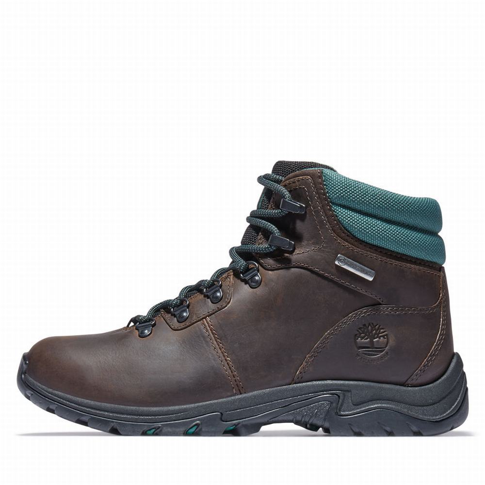 Timberland Mount Maddsen Hiker Yürüyüş Botu Kadın Koyu Kahverengi | TR-9451L