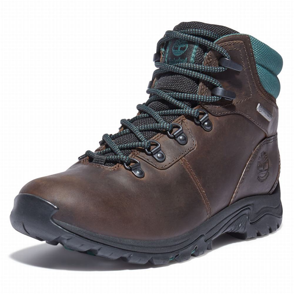 Timberland Mount Maddsen Hiker Yürüyüş Botu Kadın Koyu Kahverengi | TR-9451L