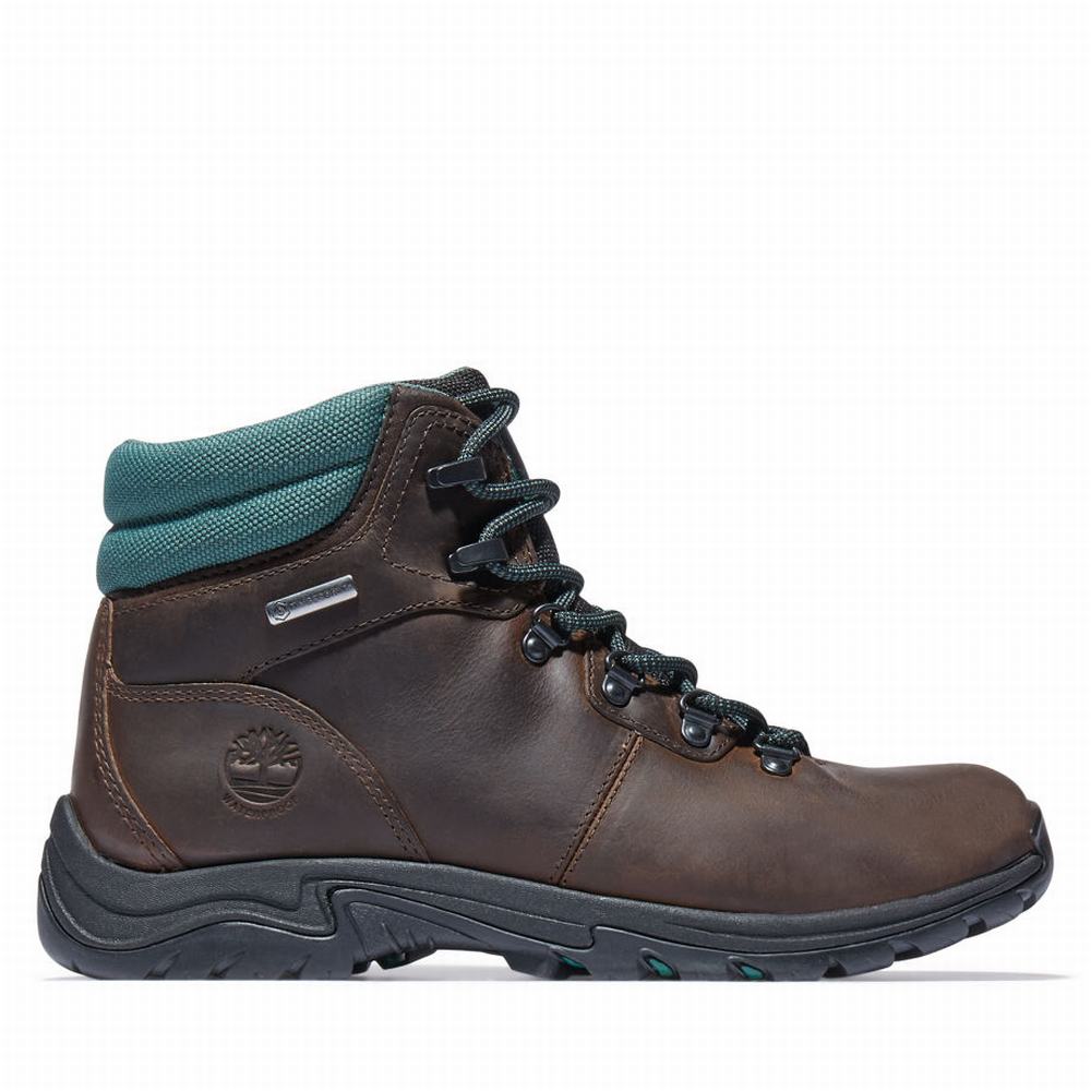 Timberland Mount Maddsen Hiker Yürüyüş Botu Kadın Koyu Kahverengi | TR-9451L