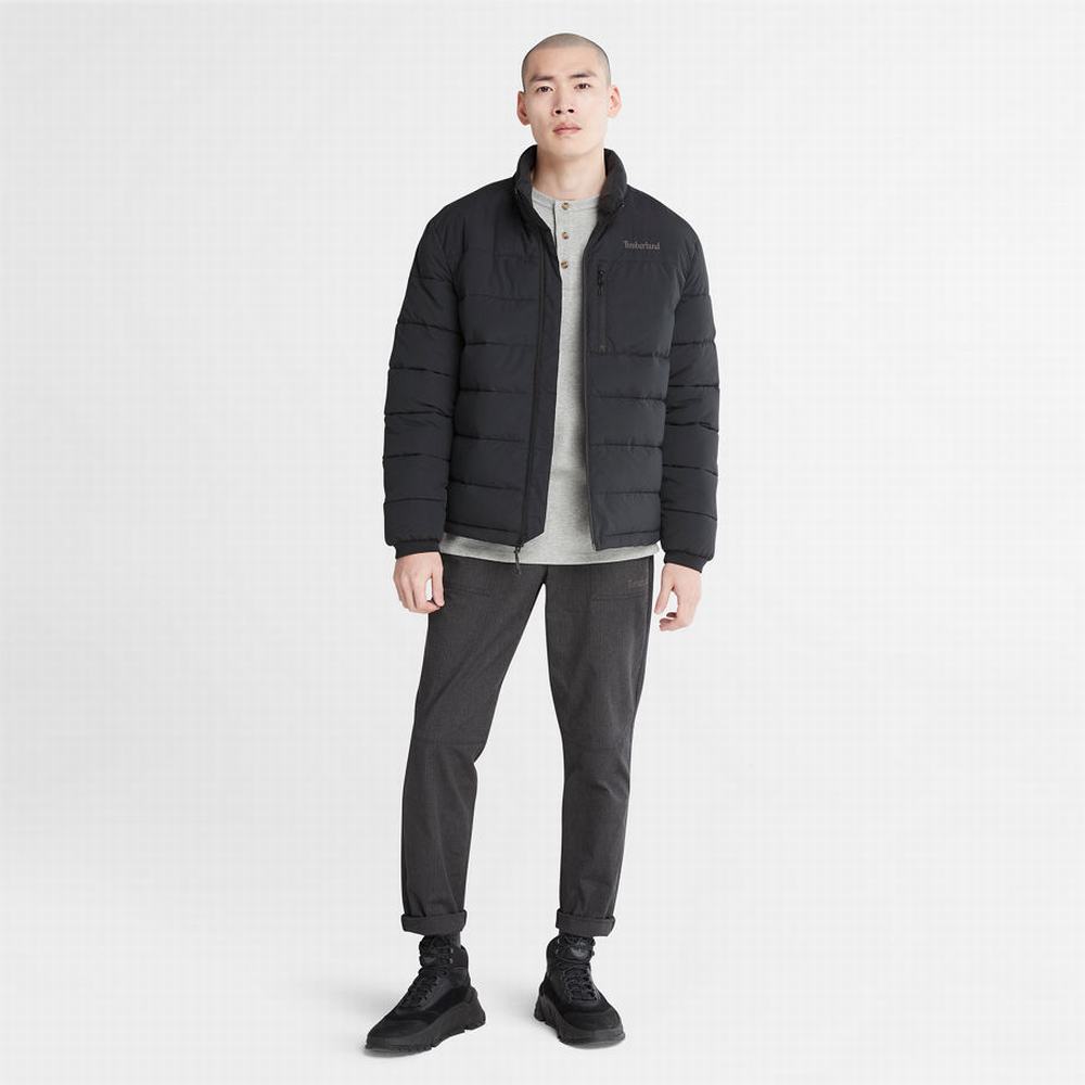 Timberland Mount Weeks Warm Kapitone Ceket Erkek Siyah | TR-7523V