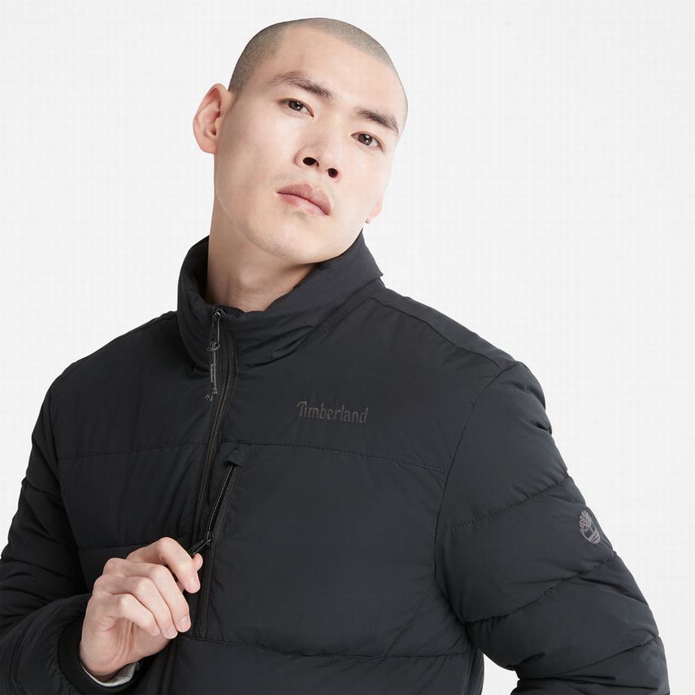 Timberland Mount Weeks Warm Kapitone Ceket Erkek Siyah | TR-7523V