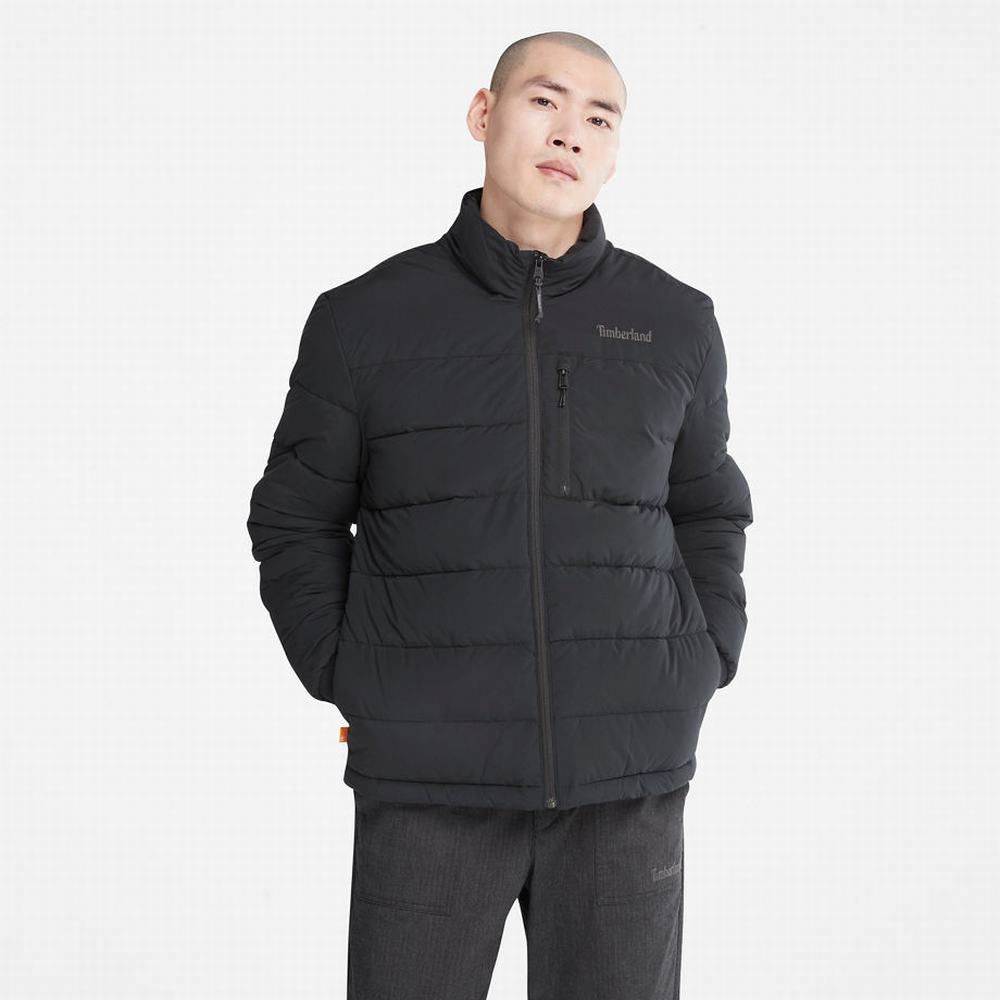 Timberland Mount Weeks Warm Kapitone Ceket Erkek Siyah | TR-7523V
