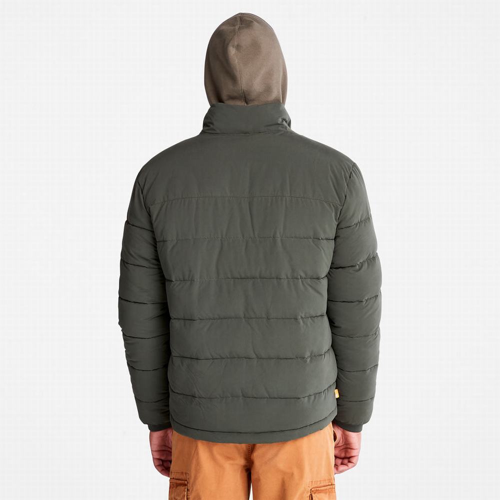 Timberland Mount Weeks Warm Kapitone Ceket Erkek Koyu Yeşil | TR-9265C