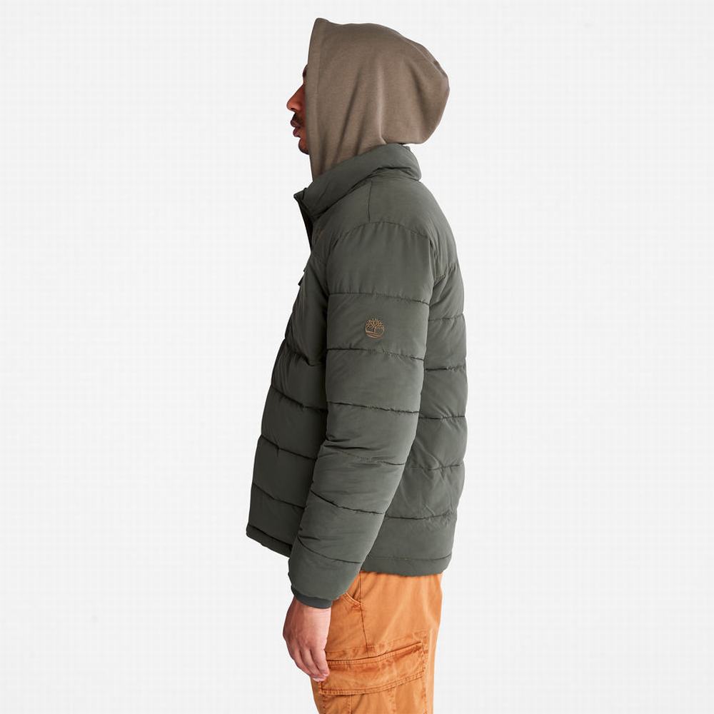 Timberland Mount Weeks Warm Kapitone Ceket Erkek Koyu Yeşil | TR-9265C