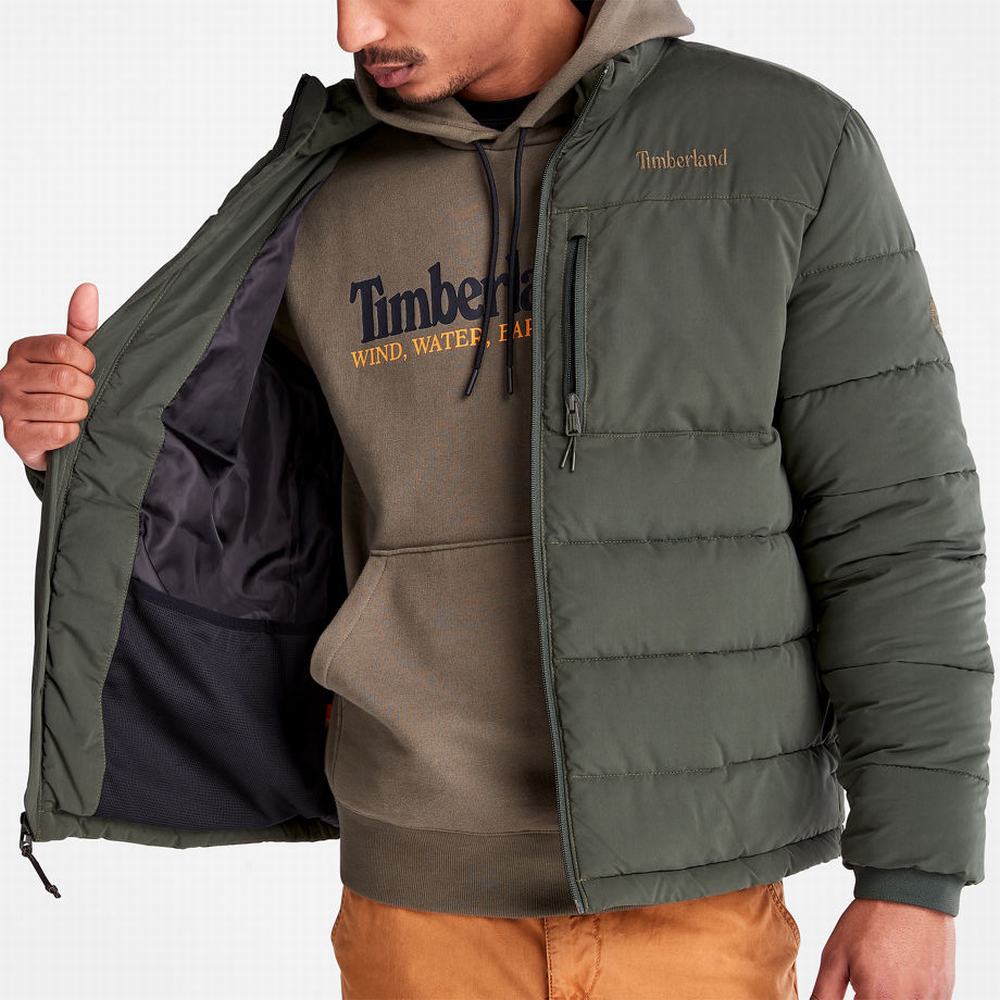 Timberland Mount Weeks Warm Kapitone Ceket Erkek Koyu Yeşil | TR-9265C