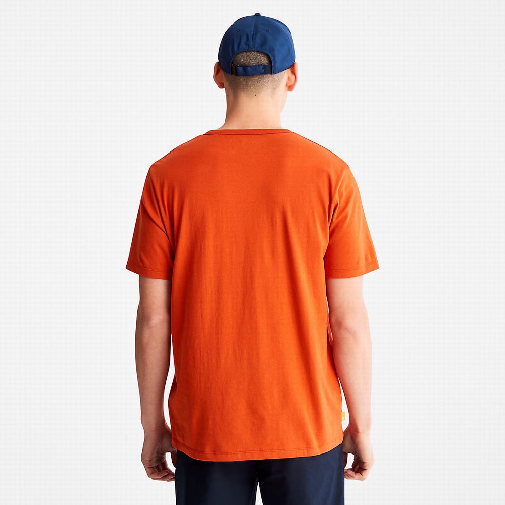 Timberland Mountains-to-Rivers Print Tişört Erkek Turuncu | TR-0621B