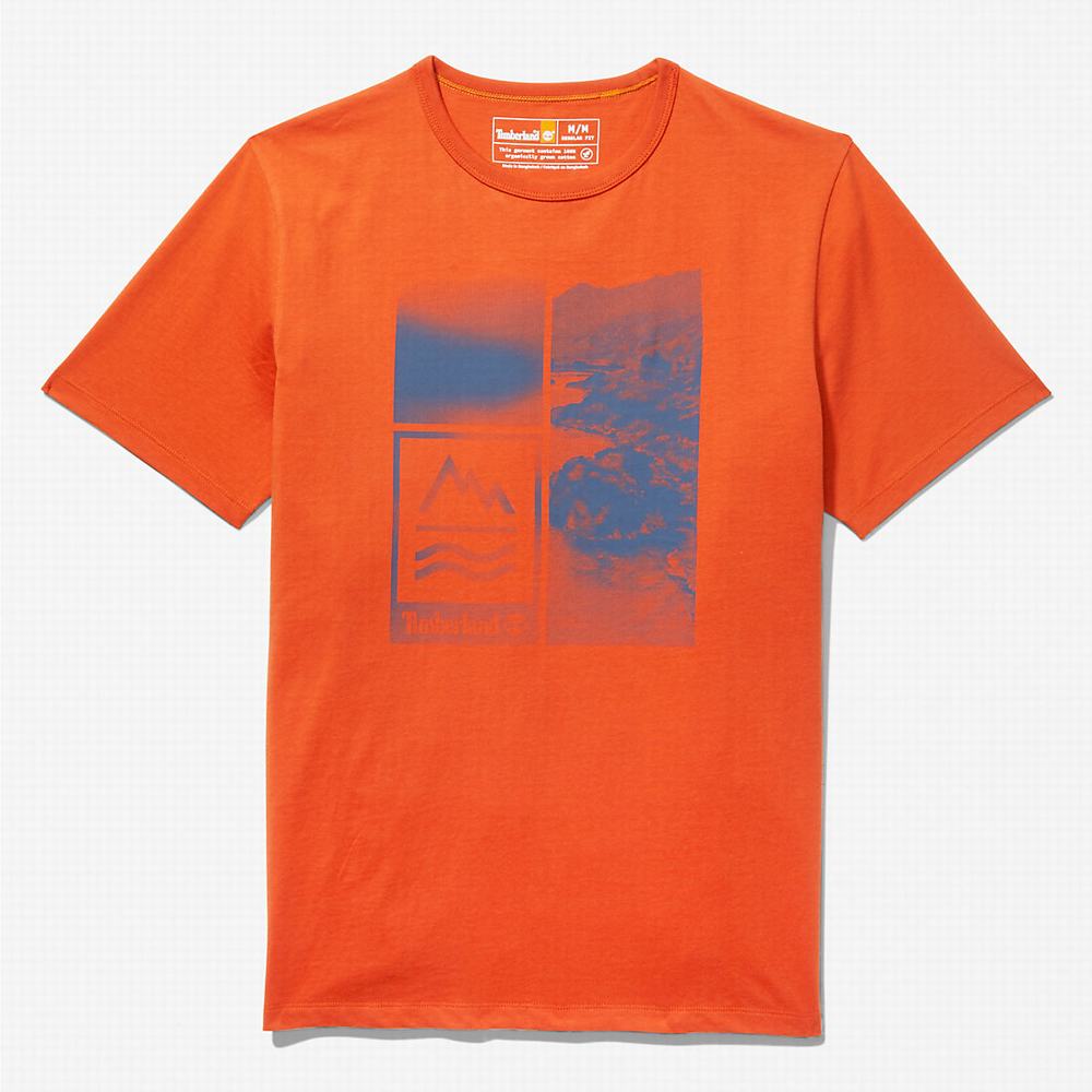 Timberland Mountains-to-Rivers Print Tişört Erkek Turuncu | TR-0621B