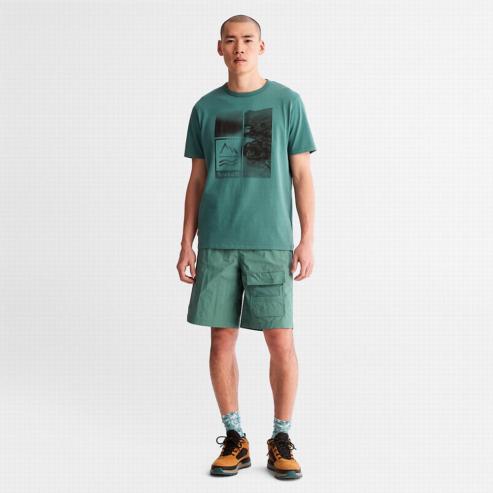 Timberland Mountains-to-Rivers Print Tişört Erkek Turkuaz | TR-8526N