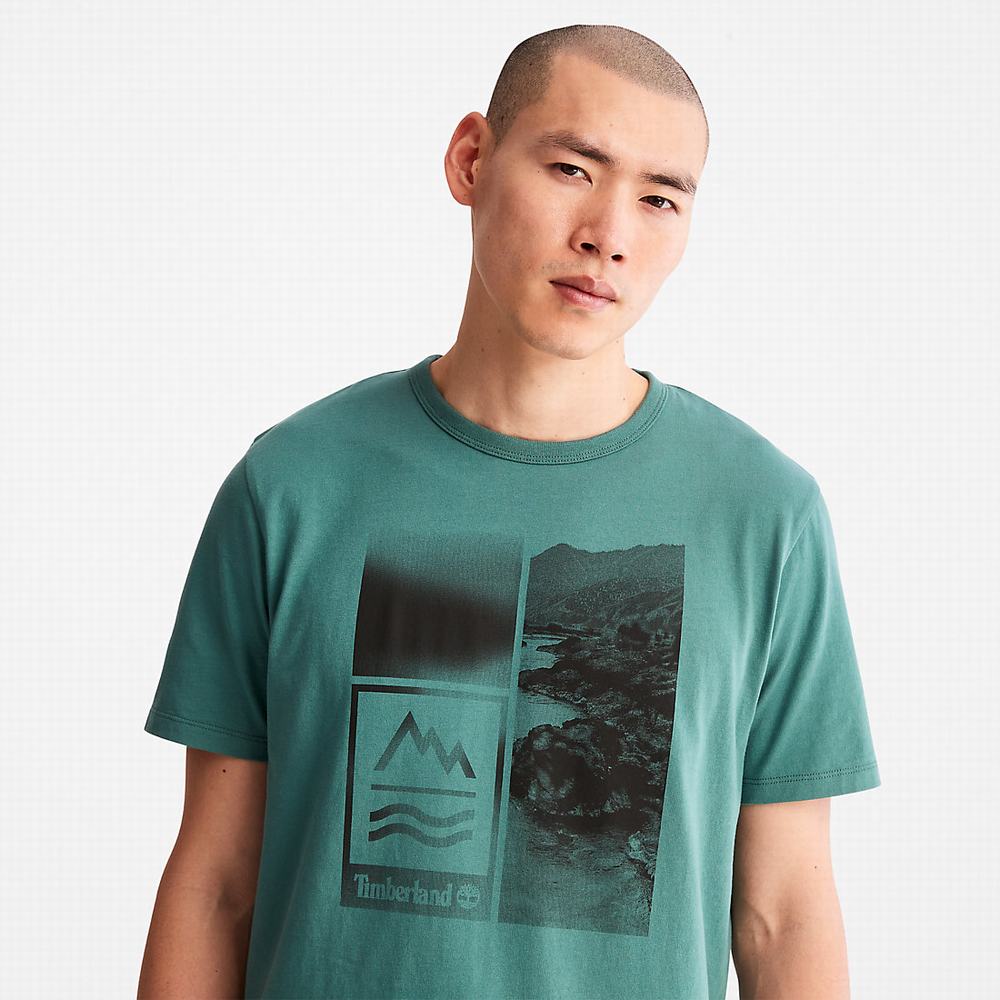 Timberland Mountains-to-Rivers Print Tişört Erkek Turkuaz | TR-8526N