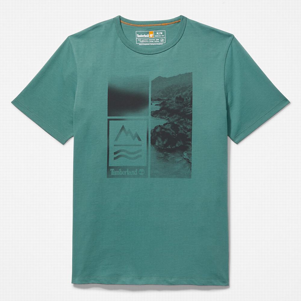 Timberland Mountains-to-Rivers Print Tişört Erkek Turkuaz | TR-8526N
