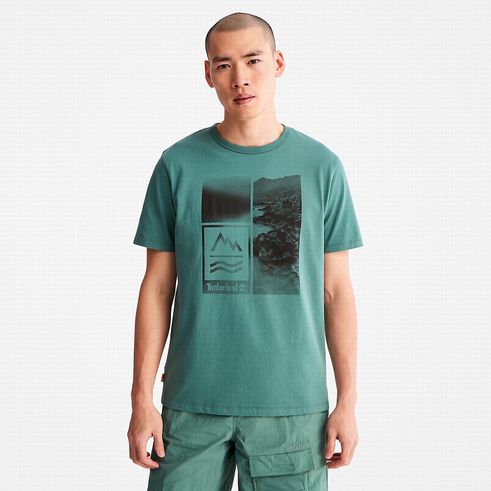 Timberland Mountains-to-Rivers Print Tişört Erkek Turkuaz | TR-8526N