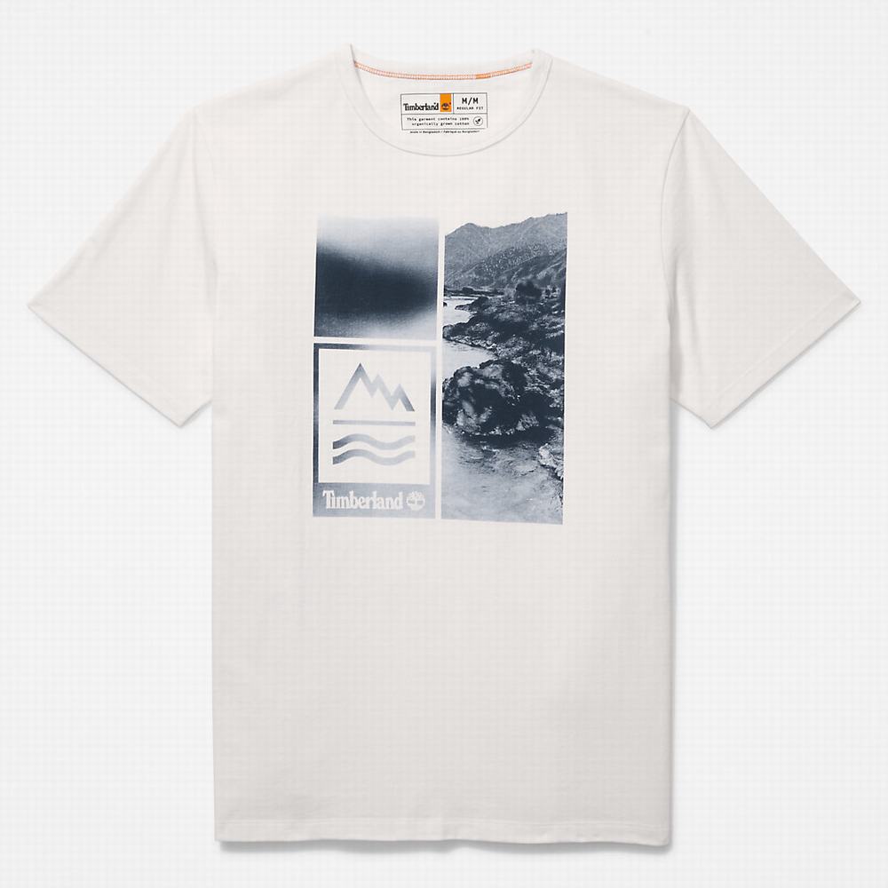 Timberland Mountains-to-Rivers Print Tişört Erkek Beyaz | TR-9234M