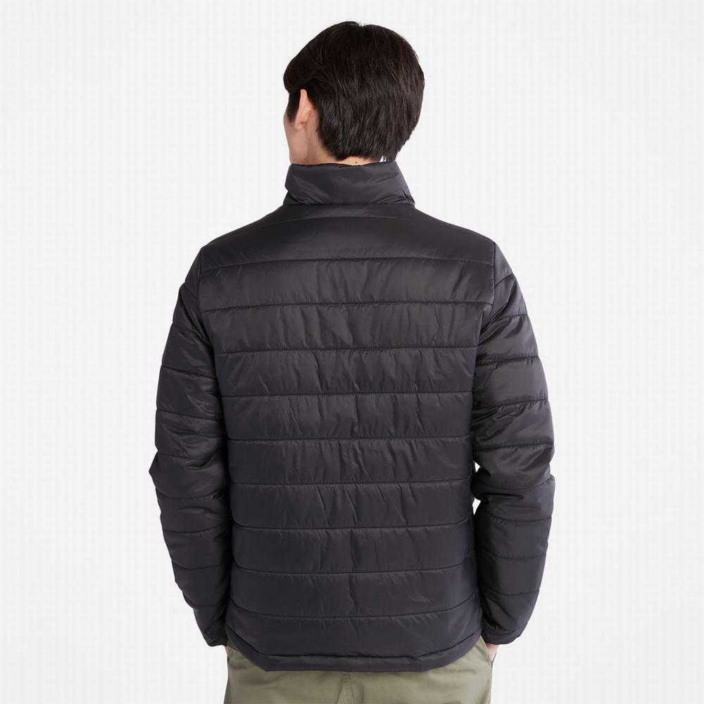 Timberland Mt. Eastman Kapitone Ceket Erkek Siyah | TR-9724U