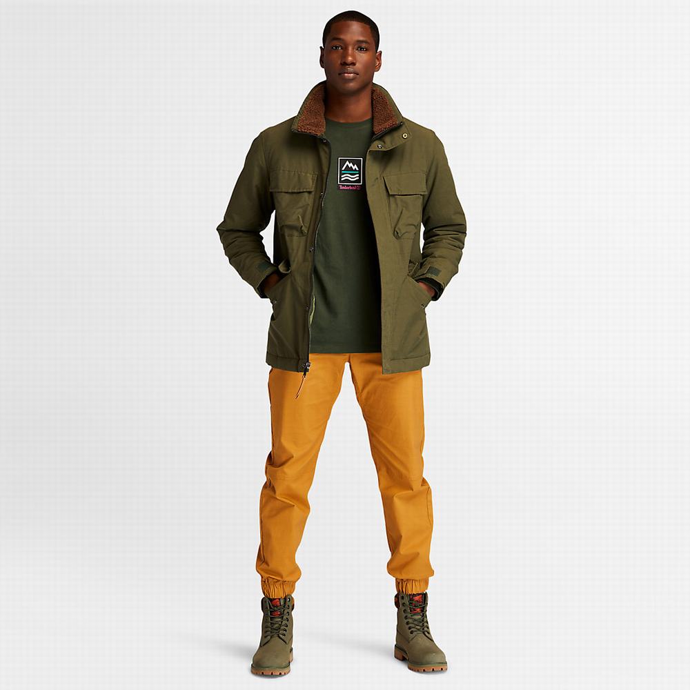 Timberland Mt. Kelsey Field Ceket Erkek Koyu Yeşil | TR-2491H