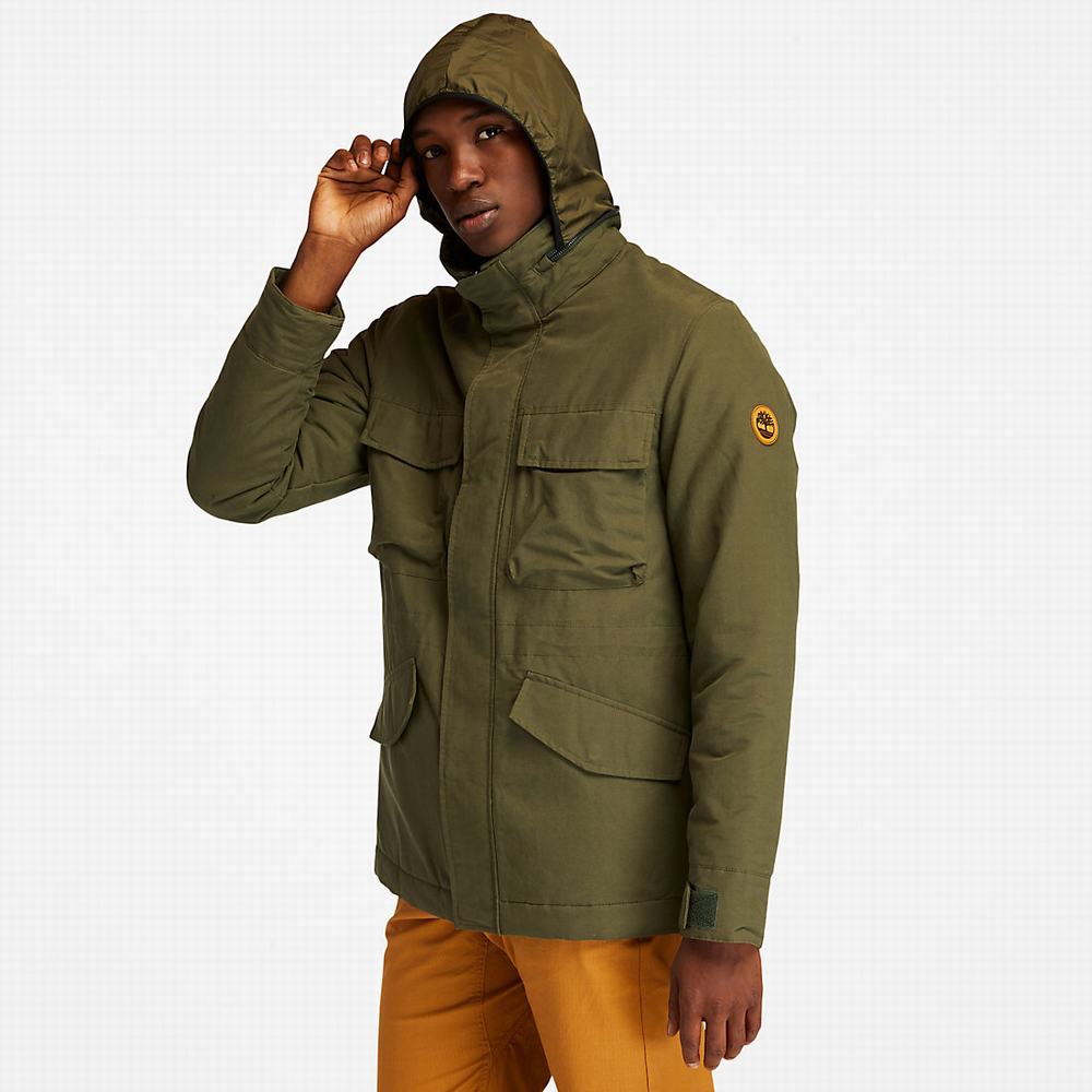 Timberland Mt. Kelsey Field Ceket Erkek Koyu Yeşil | TR-2491H