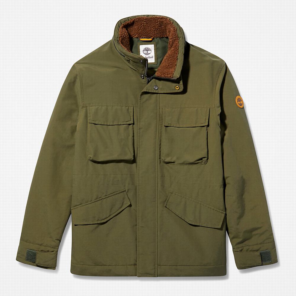 Timberland Mt. Kelsey Field Ceket Erkek Koyu Yeşil | TR-2491H