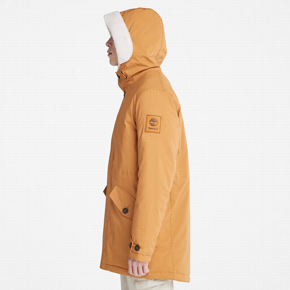 Timberland Mt. Kelsey Fishtail Parka Ceketler Erkek Açık Kahverengi | TR-5013Q