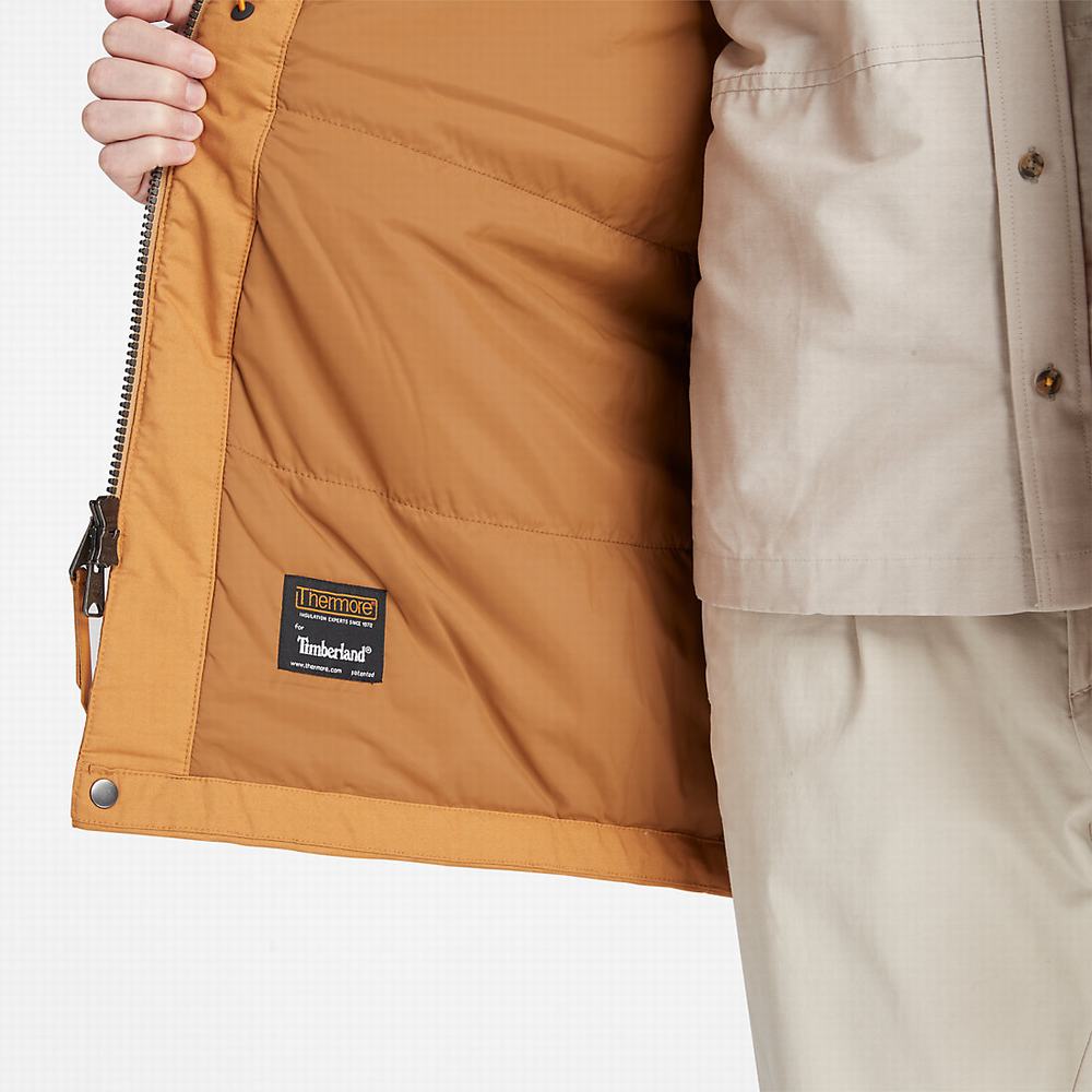 Timberland Mt. Kelsey Fishtail Parka Ceketler Erkek Açık Kahverengi | TR-5013Q