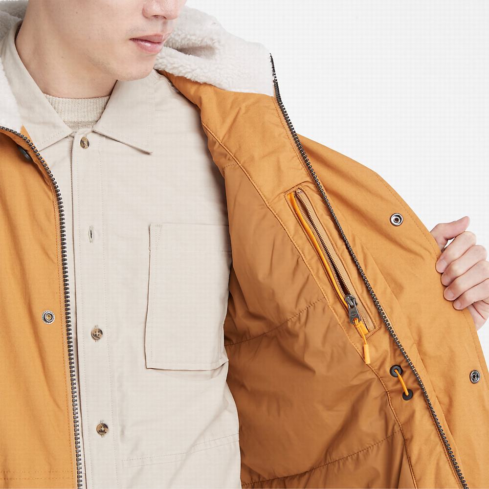 Timberland Mt. Kelsey Fishtail Parka Ceketler Erkek Açık Kahverengi | TR-5013Q