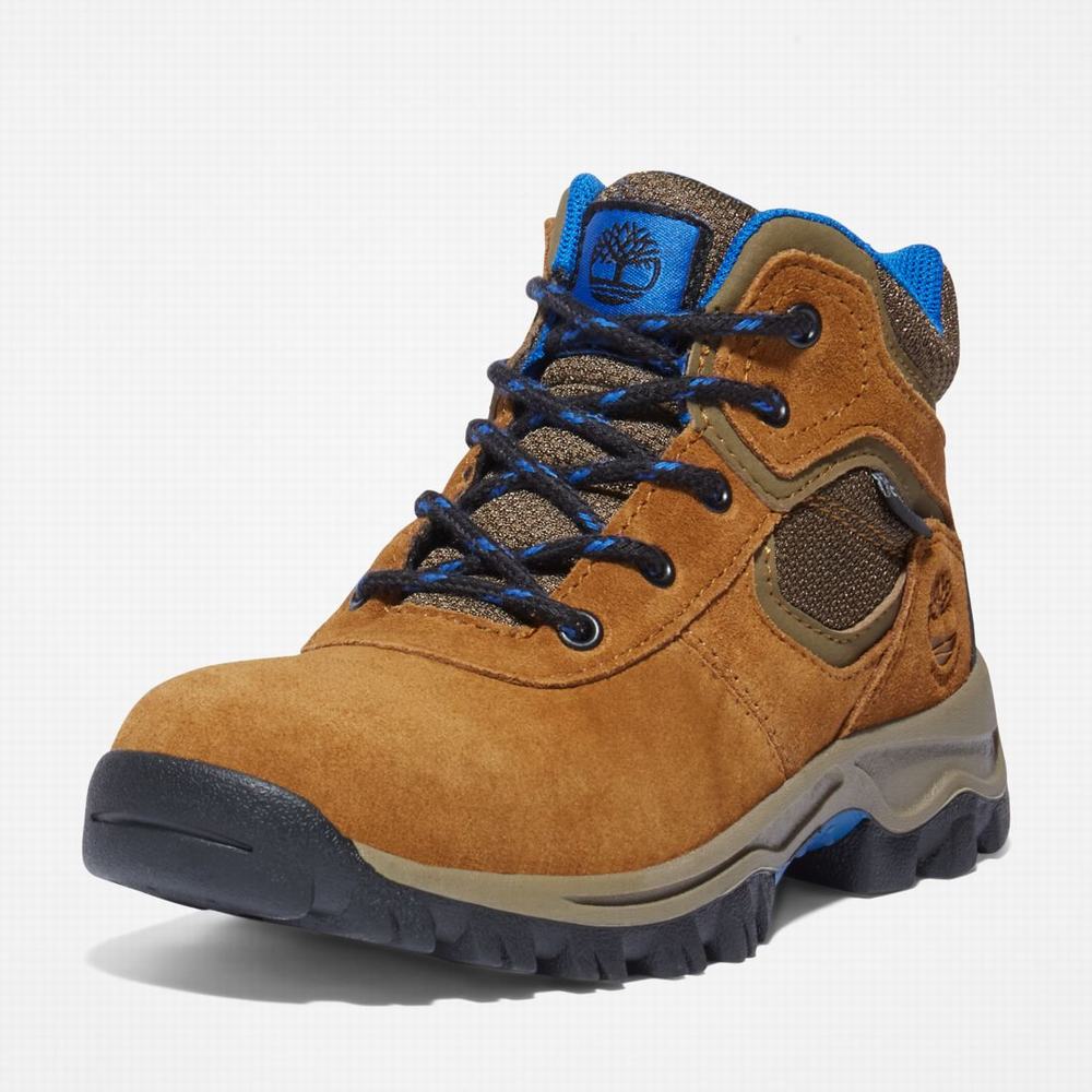 Timberland Mt. Maddsen Waterproof Yürüyüş Botu Çocuk Kahverengi | TR-1428V