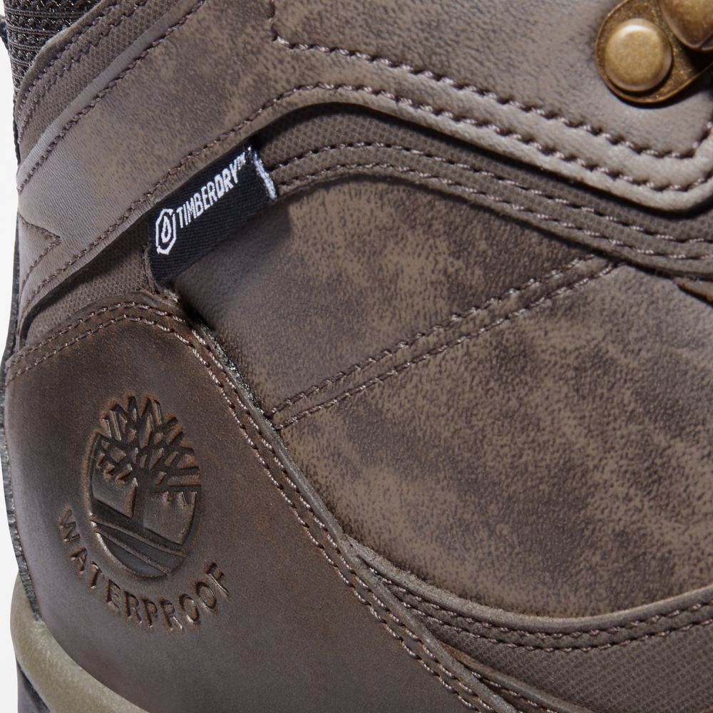 Timberland Mt. Maddsen Waterproof Yürüyüş Botu Erkek Koyu Kahverengi | TR-1973Y