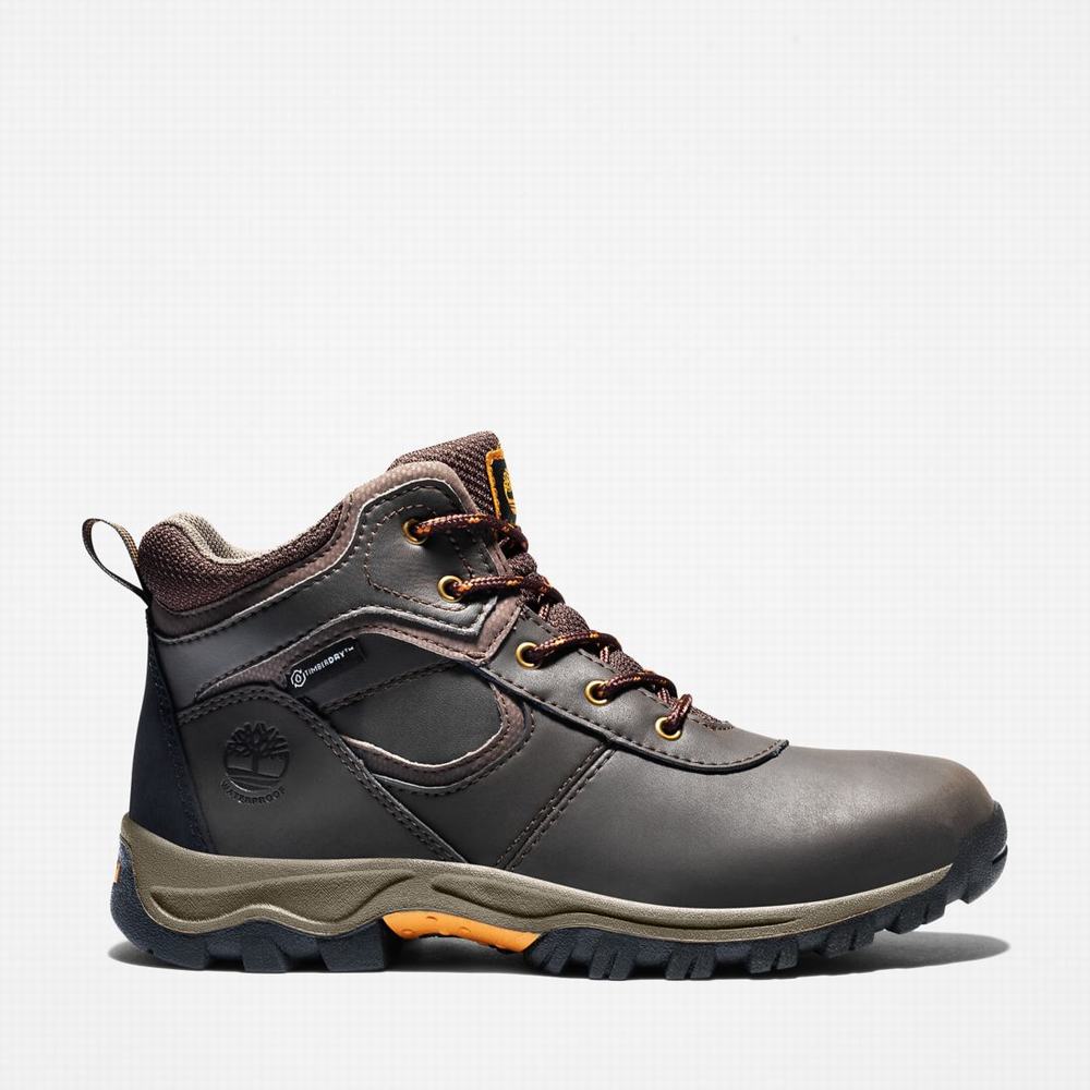 Timberland Mt. Maddsen Waterproof Yürüyüş Botu Çocuk Koyu Kahverengi | TR-2190B