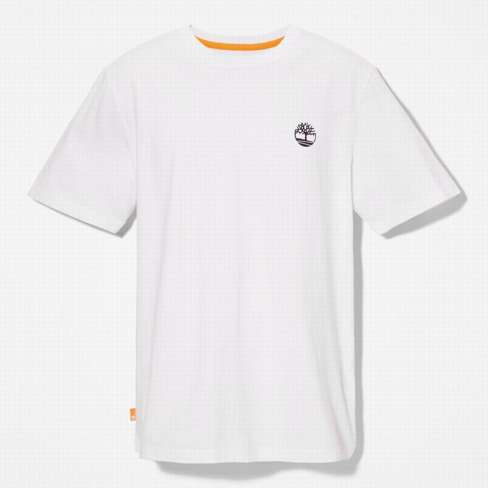 Timberland Multi-Logo Back-Graphic Tişört Erkek Beyaz | TR-8012G
