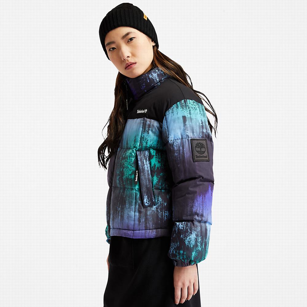 Timberland NL Sky Puffer Ceket Kadın Siyah | TR-9685E
