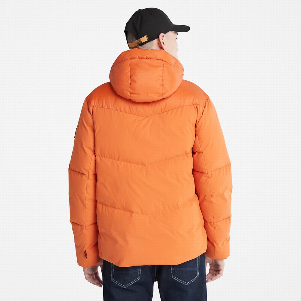 Timberland Neo Summit Kukuletalı Ceket Erkek Turuncu | TR-0762C