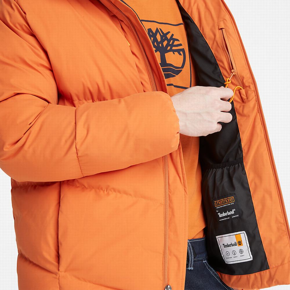 Timberland Neo Summit Kukuletalı Ceket Erkek Turuncu | TR-0762C