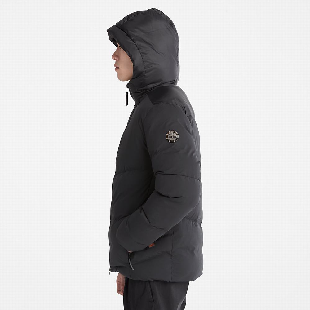 Timberland Neo Summit Winter Ceket Erkek Siyah | TR-8429N