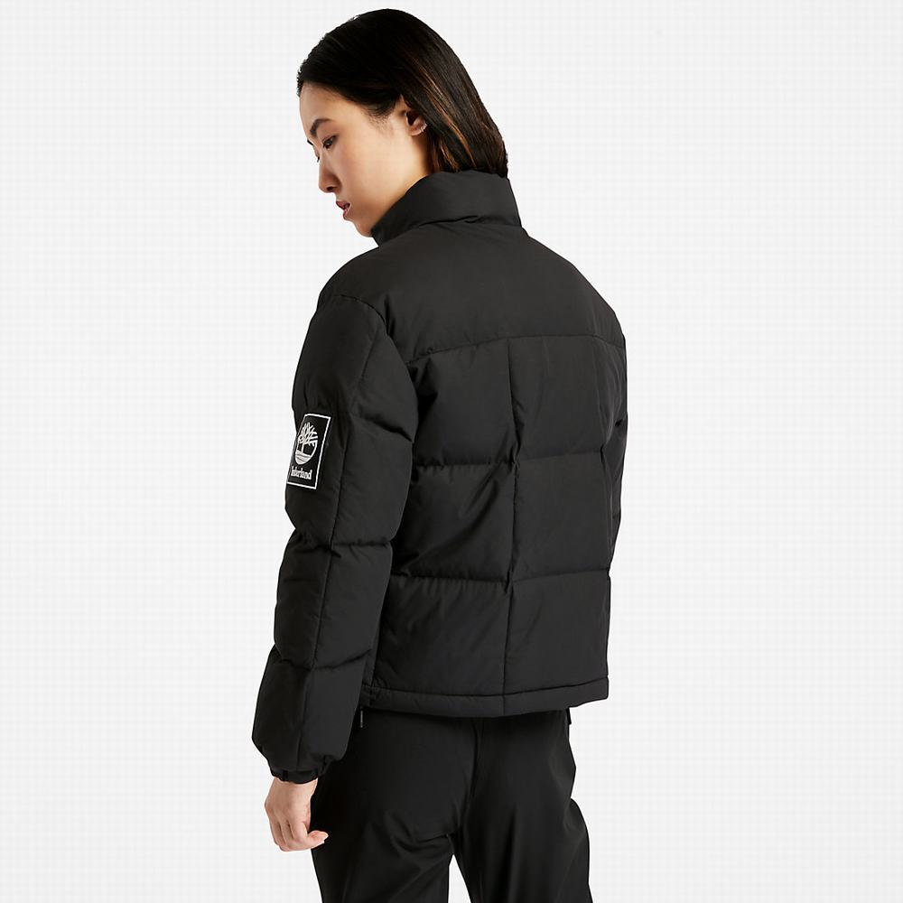 Timberland Non-Down Puffer Ceket Kadın Siyah | TR-3850M