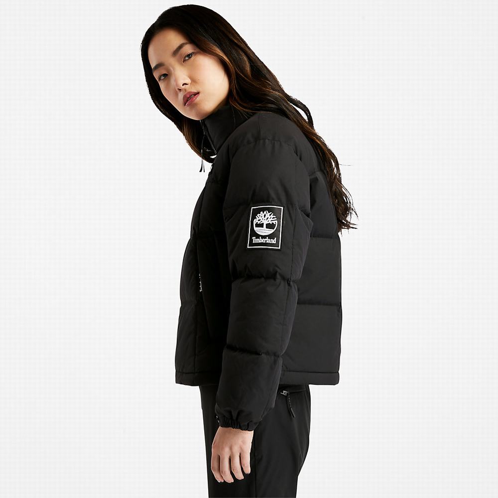 Timberland Non-Down Puffer Ceket Kadın Siyah | TR-3850M