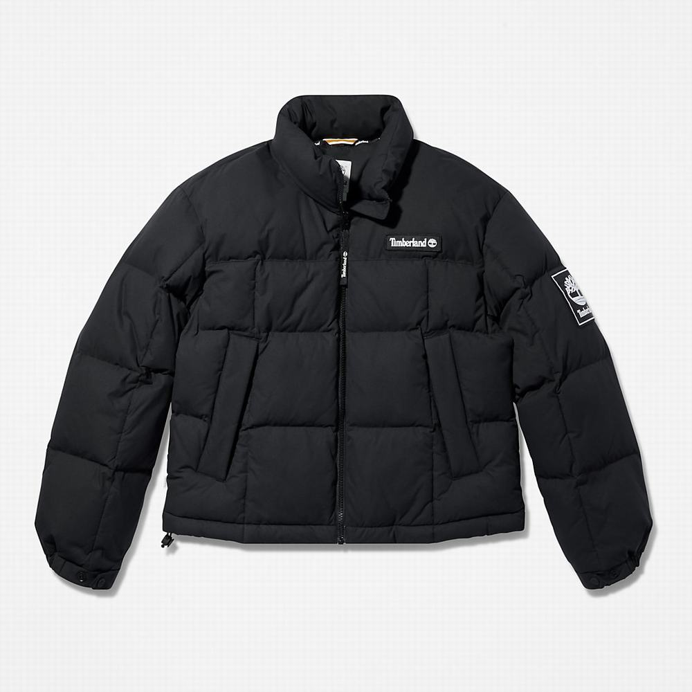 Timberland Non-Down Puffer Ceket Kadın Siyah | TR-3850M