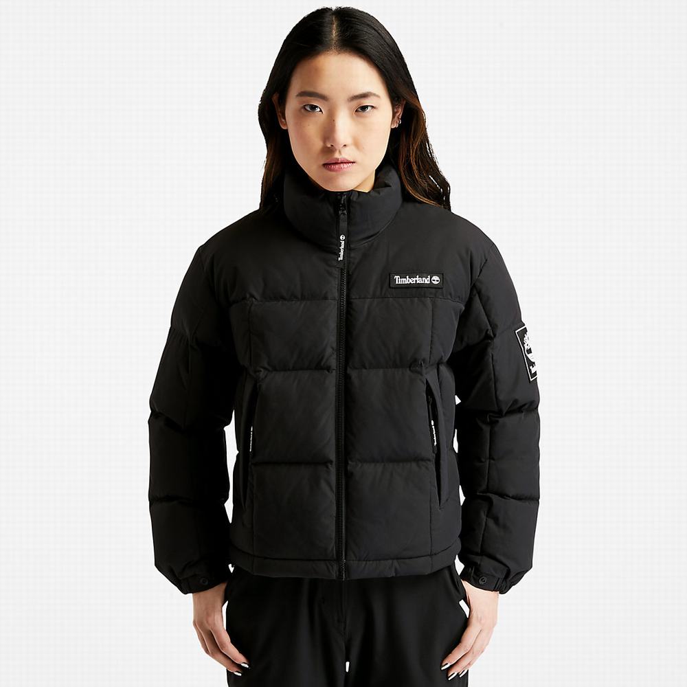 Timberland Non-Down Puffer Ceket Kadın Siyah | TR-3850M