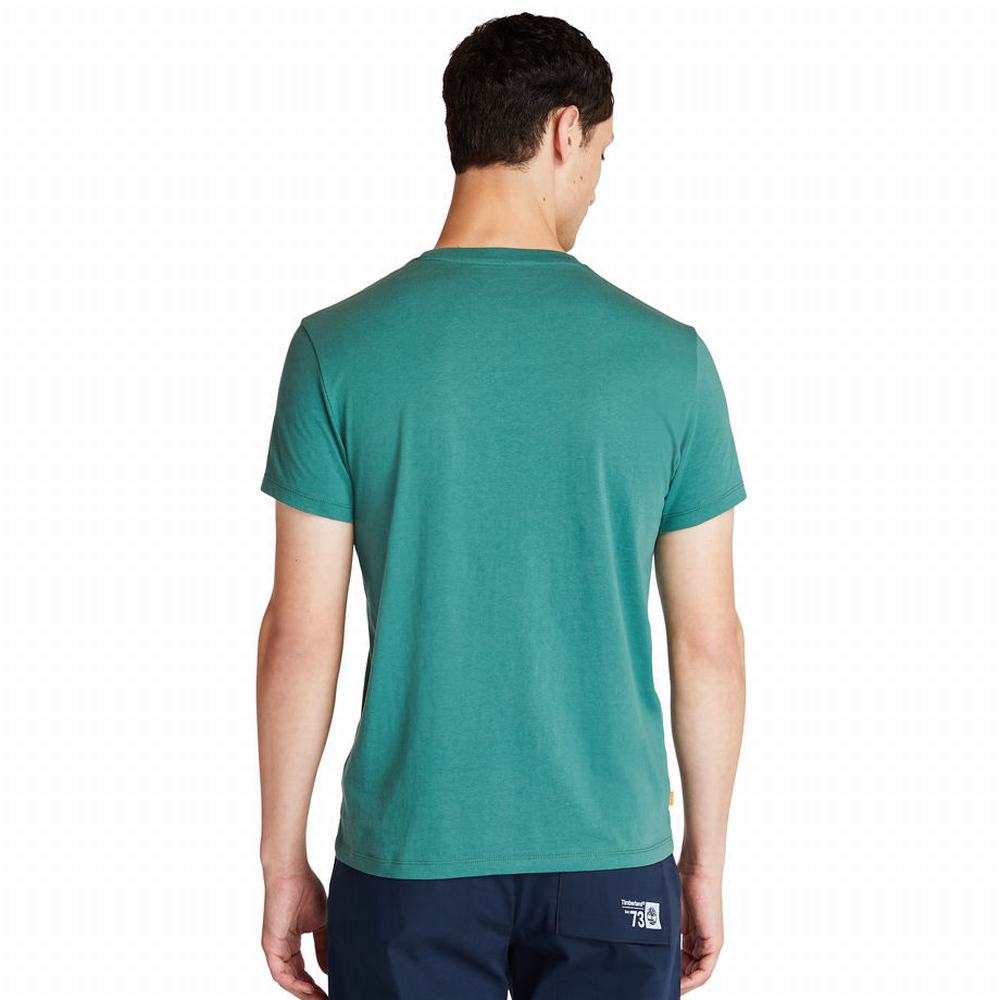 Timberland Organic Pamuklu Logo Tişört Erkek Yeşil | TR-1923C